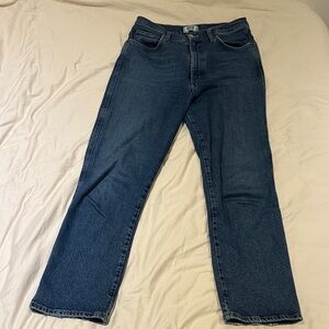 Classic AGOLDE Cropped 90s Jeans